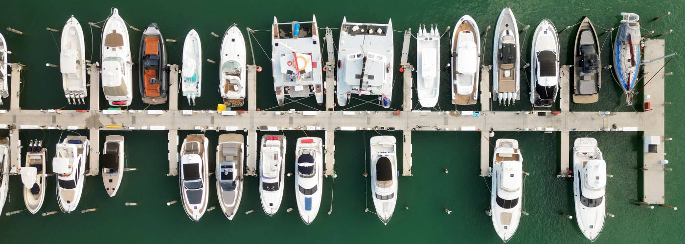 Featured Image for Regalis LLC